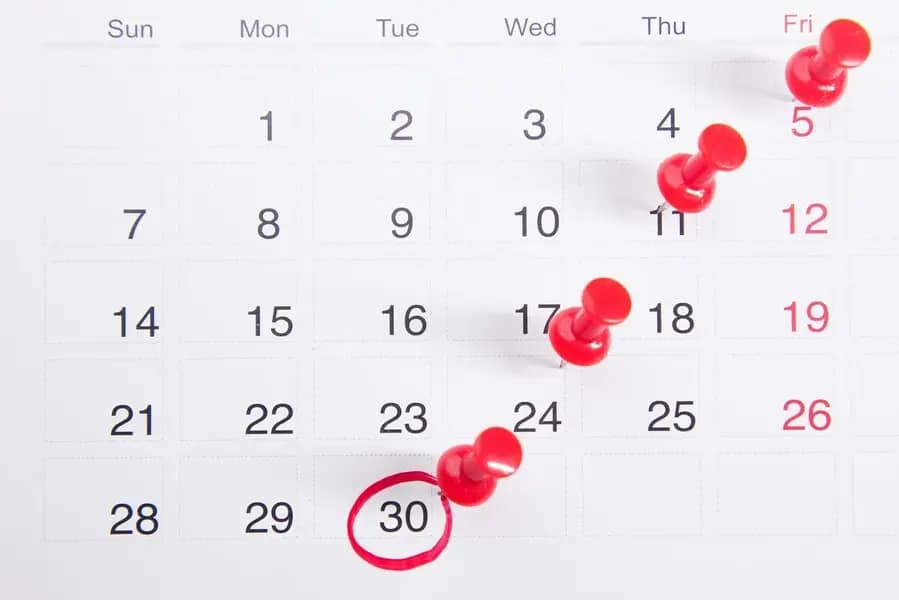 Le Calendrier du Water-Polo